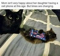 Image result for Cat Cell Phone Meme