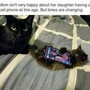 Image result for Cat Phone Meme