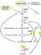 Image result for Folic Acid Central Poly