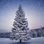 Image result for White Holiday Background