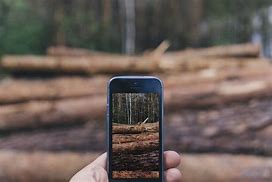Image result for iPhone 13 Green Website Picture