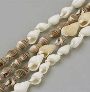 Image result for Exotic Shell Beads