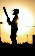 Image result for Cricket Lover Wallpaper for PC