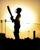 Image result for Cricket Lover Image