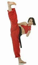 Image result for Woman Martial Arts Kick