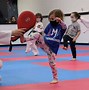 Image result for Martial Arts Pics