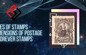 Image result for Stamp 3X4 Size