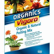 Image result for Vigoro and Potting Soil