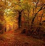 Image result for Mobile Wallpaper 4K Autumn
