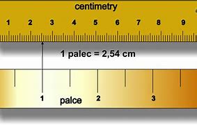 Image result for Centimeter Reference