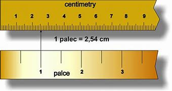 Image result for How Long Is 19 Cm in Inches