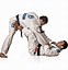Image result for Jiu Jitsu Design Transparent Background