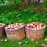 Image result for Apple Pic Street