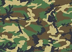 Image result for Camouflage Patterns Book