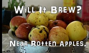 Image result for Rotten Apple Cider