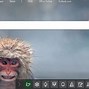 Image result for Images Created by Ai Microsoft Bing
