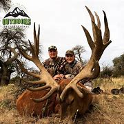 Image result for Argentina Red Stag