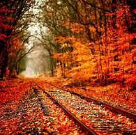 Image result for Autumn iPad Wallpaper