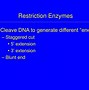 Image result for Recombinant DNA Cloning