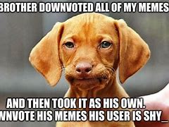 Image result for Frowning Dog Meme
