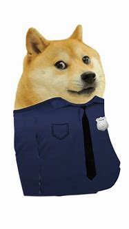 Image result for Doge Meme Transparent