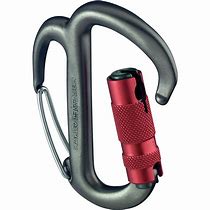 Image result for petzl climb carabiners