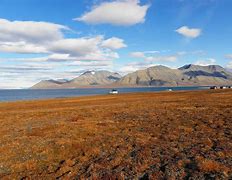 Image result for Russian Landscape