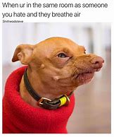 Image result for Hideous Dogs Memes