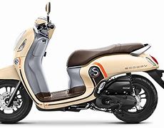 Image result for Warna Motor Scoopy