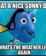 Image result for Funny Sunny Memes