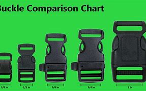 Image result for Cinch Buckles