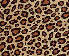 Image result for Cheetah Print Paper