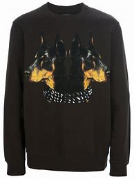 Image result for Givenchy Dog Sweater Show