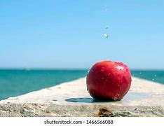 Image result for Apple Red by Sea