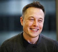 Image result for The Elon Musk