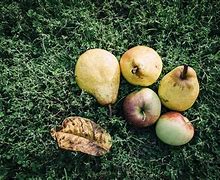 Image result for Buah Pear Apple