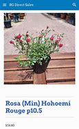 Image result for Hoehoemei Rouge Rose