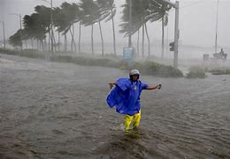 Image result for Typhoon Storm Surge
