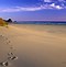 Image result for Sandy Beach Background