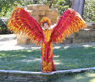 Image result for Phoenix Bird Costume