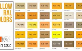 Image result for Yellow RAL Colours