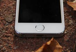 Image result for iPhone 5S Sensor Size