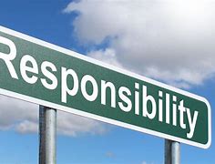 Image result for Government Responsibility