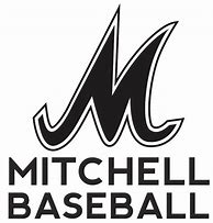 Image result for Don Mitchell Baseball
