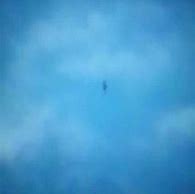 Image result for Humanoid Fly