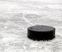 Image result for Hockey Puck Up Close