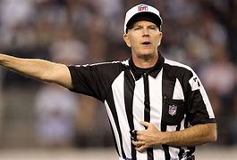 Image result for Ref Talking to Patriots