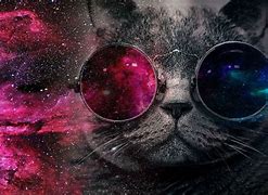 Image result for Cat with Galaxy Eyes