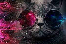 Image result for Space Cat with Glasses