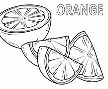 Image result for Bag of Oranges